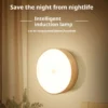 LED Motion Sensor Night Light